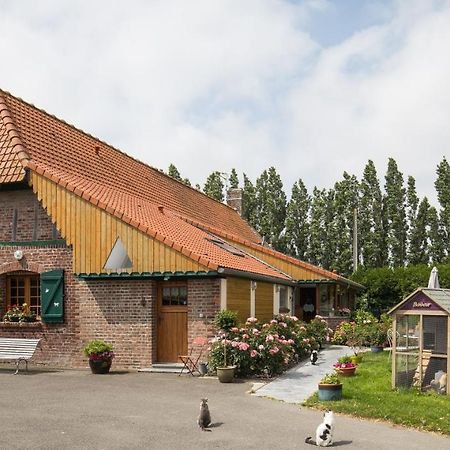 Gite De La Ferme Des Crins Blancs Villa Хазбрук Екстериор снимка